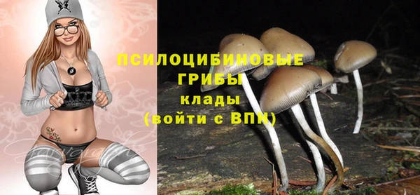 мет Снежинск
