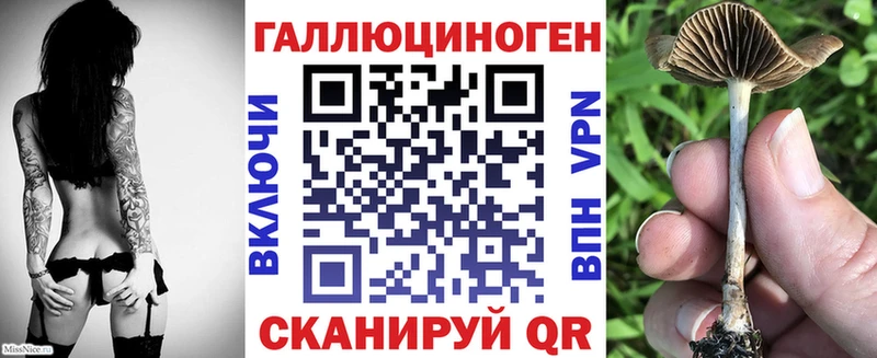 купить наркотик  Уварово  ОМГ ОМГ tor  Псилоцибиновые грибы MAGIC MUSHROOMS 