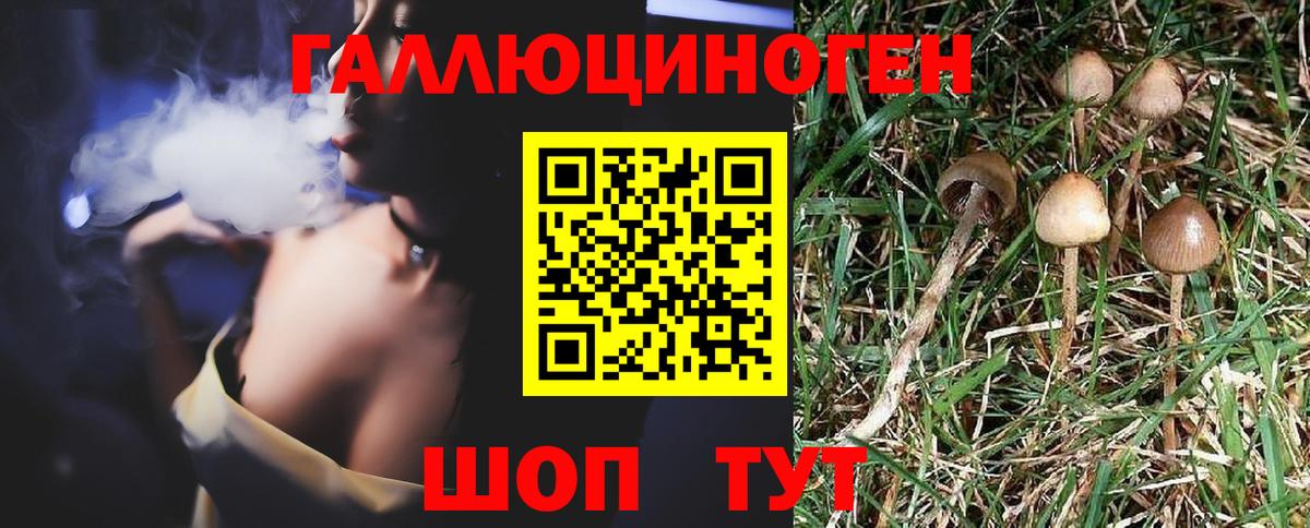 Псилоцибиновые грибы прущие грибы Уварово