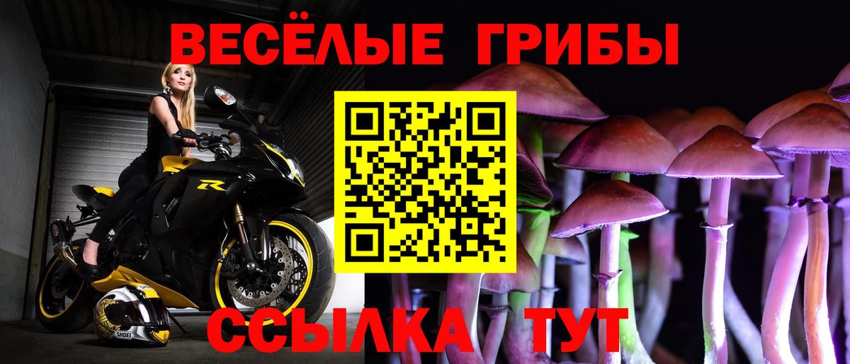 Галлюциногенные грибы прущие грибы  Уварово 